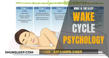 Understanding the Science of Sleep-Wake Cycles: A Psychological Perspective