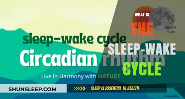 Understanding the Natural Sleep-Wake Cycle: A Guide to Restful Days