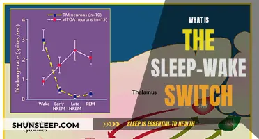 The Mystery of the Sleep-Wake Switch: Unlocking the Science of Rest