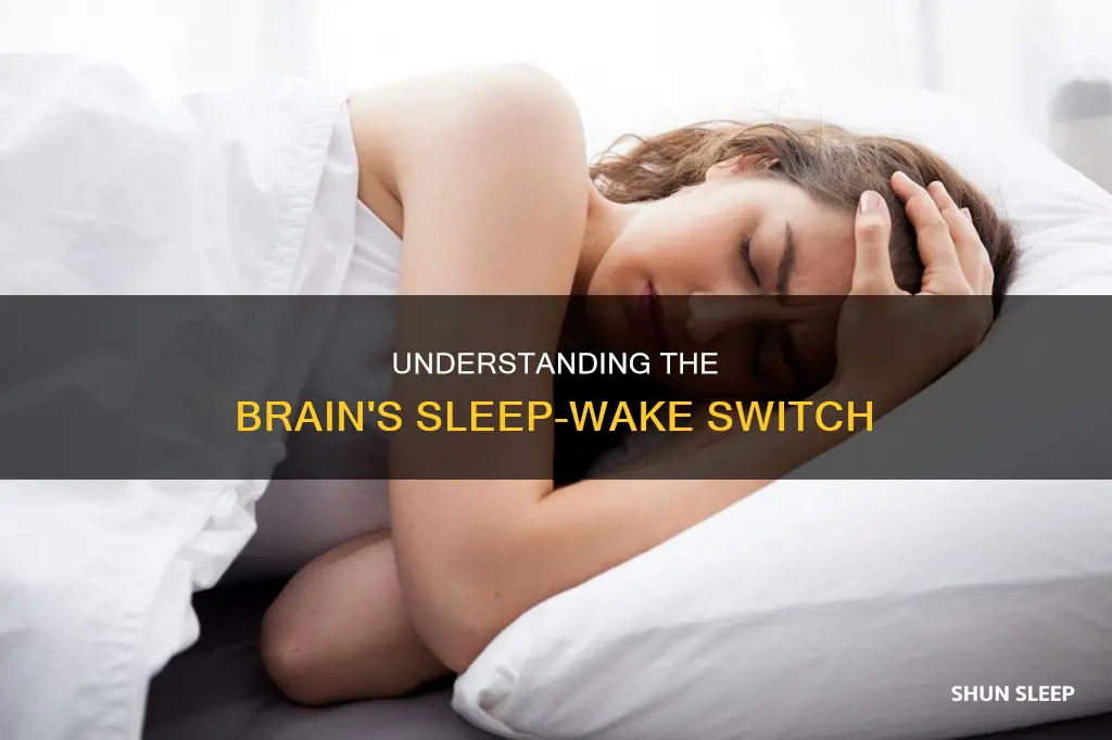 what is the sleep-wake switch