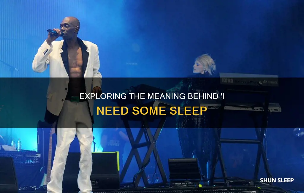 what is the song i need some sleep about