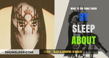 Sleep's Taken: Exploring Song's Meaning