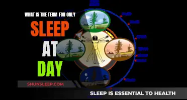 Daytime Sleepers: Understanding the World of Nocturnal Sleep