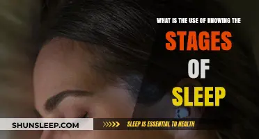 Understanding Sleep Stages: Enhancing Your Sleep Quality
