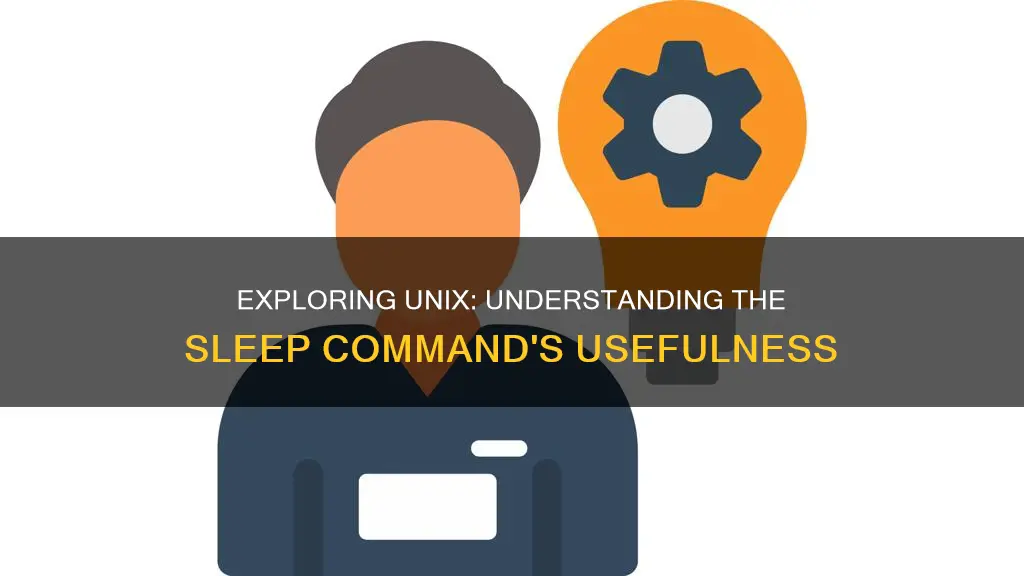 what is the use of sleep command in unix