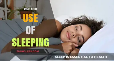 Why Sleep is Essential for Humans