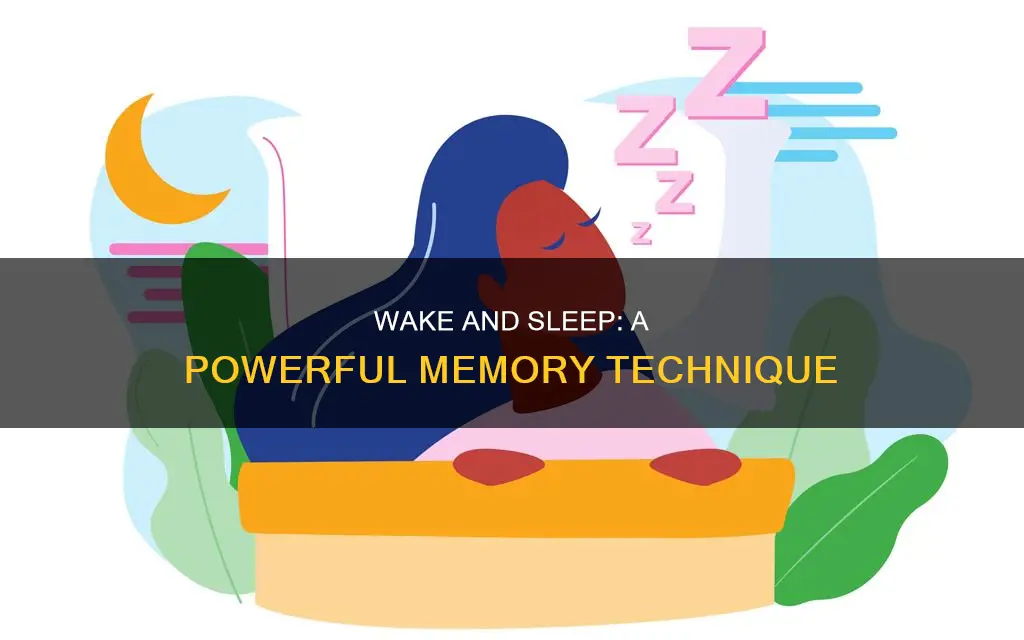 what is the wake and sleep method