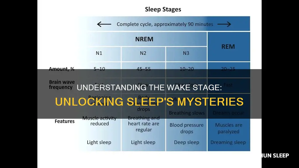 what is the wake stage of sleep