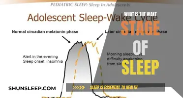 Understanding the Intriguing Wake Stage of Sleep