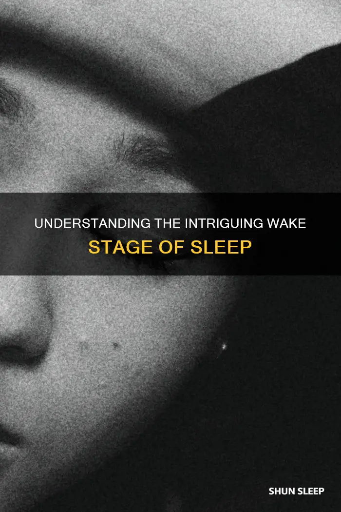 what is the wake stage of sleep