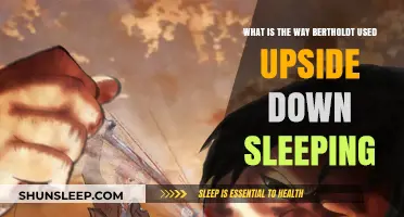Bertholdt's Unique Sleep Strategy: Upside Down Slumber