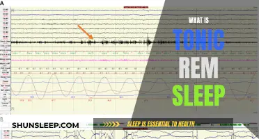 Understanding Tonic REM Sleep: Brain Activity and Muscle Relaxation