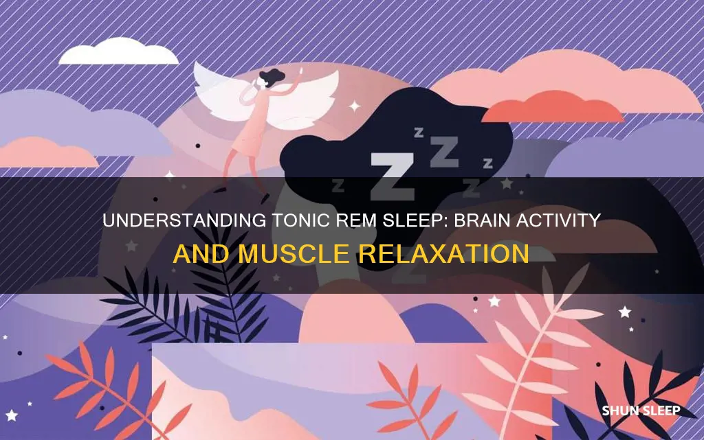 what is tonic rem sleep