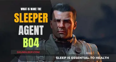 Unveiling the Mystery: Who is Wake the Sleeper in BO4?