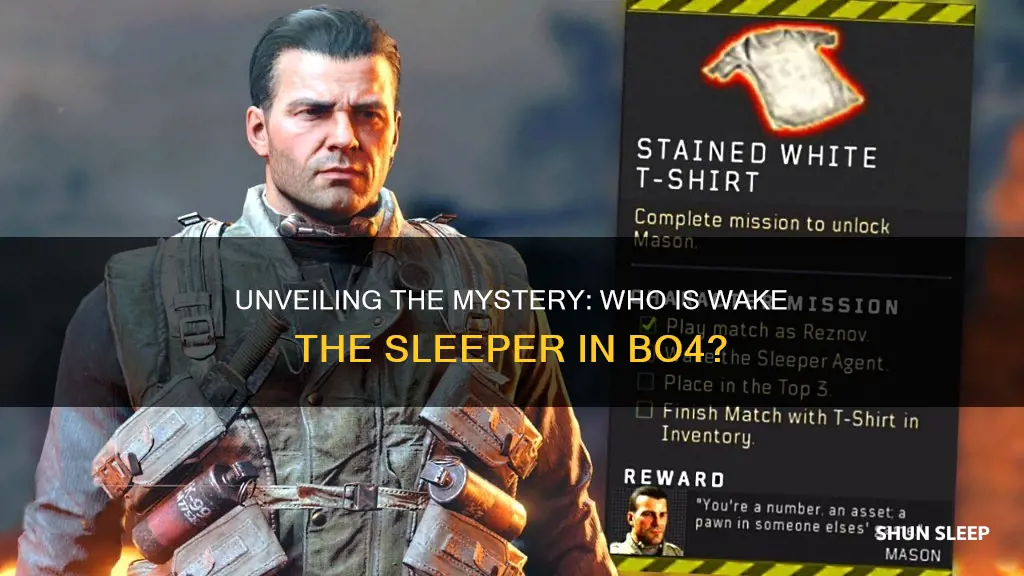 what is wake the sleeper agent bo4