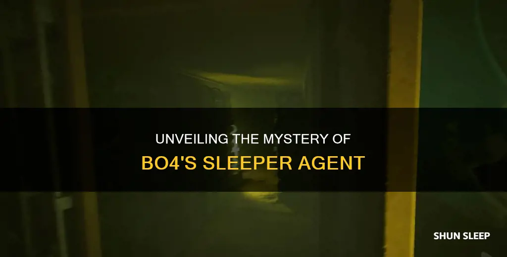what is wake the sleeper agent bo4