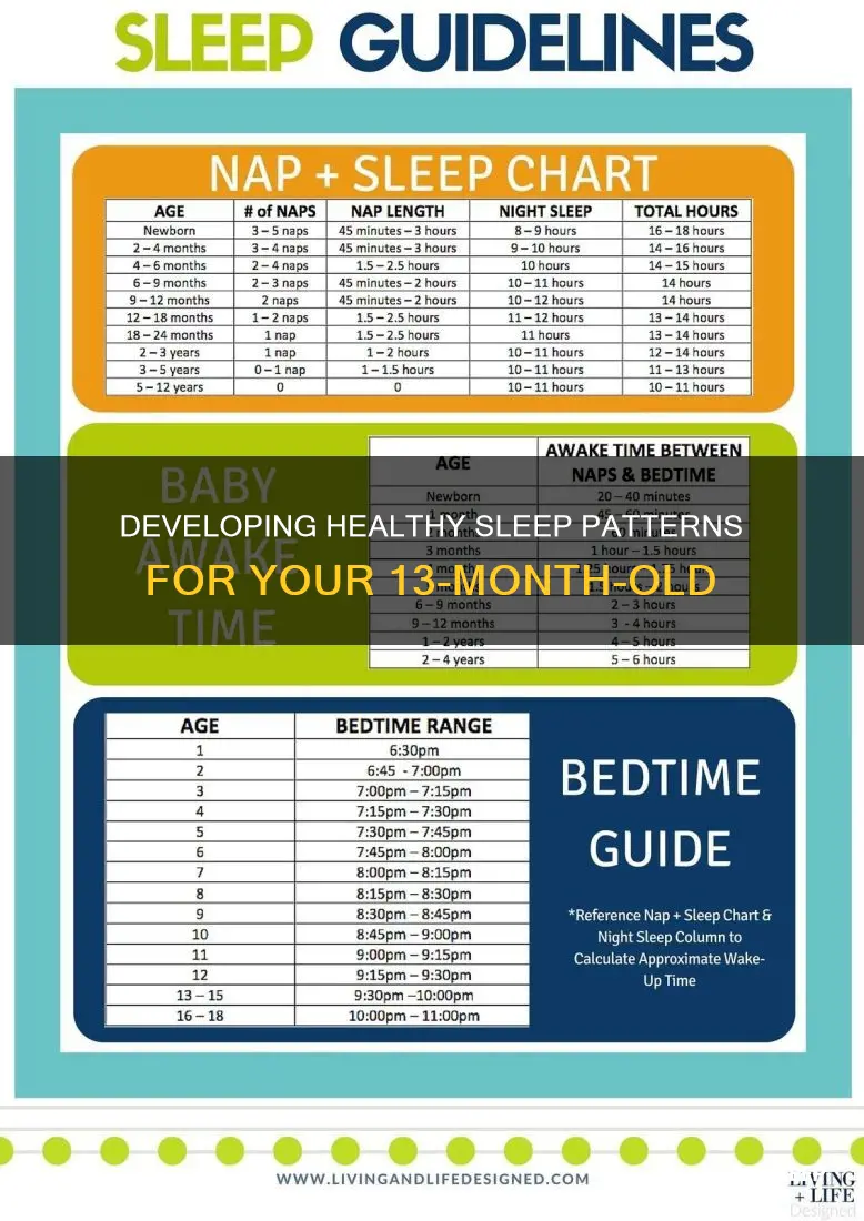 what is your 13 month old sleep schedule