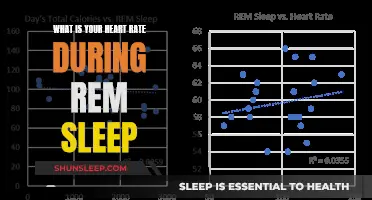 Heart Rate in REM Sleep: What's Normal?