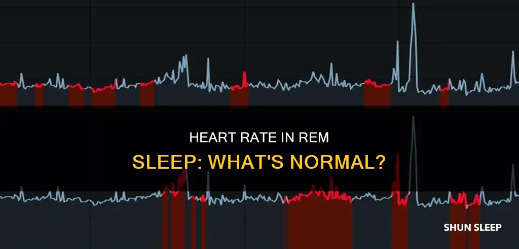 what is your heart rate during rem sleep