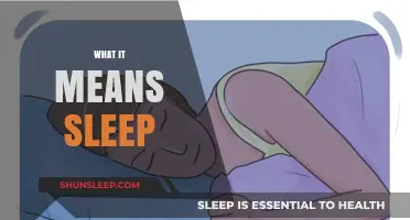 The Science of Sleep: Understanding Rest