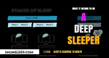 Deep Sleep: The Science of Slumber and Its Benefits