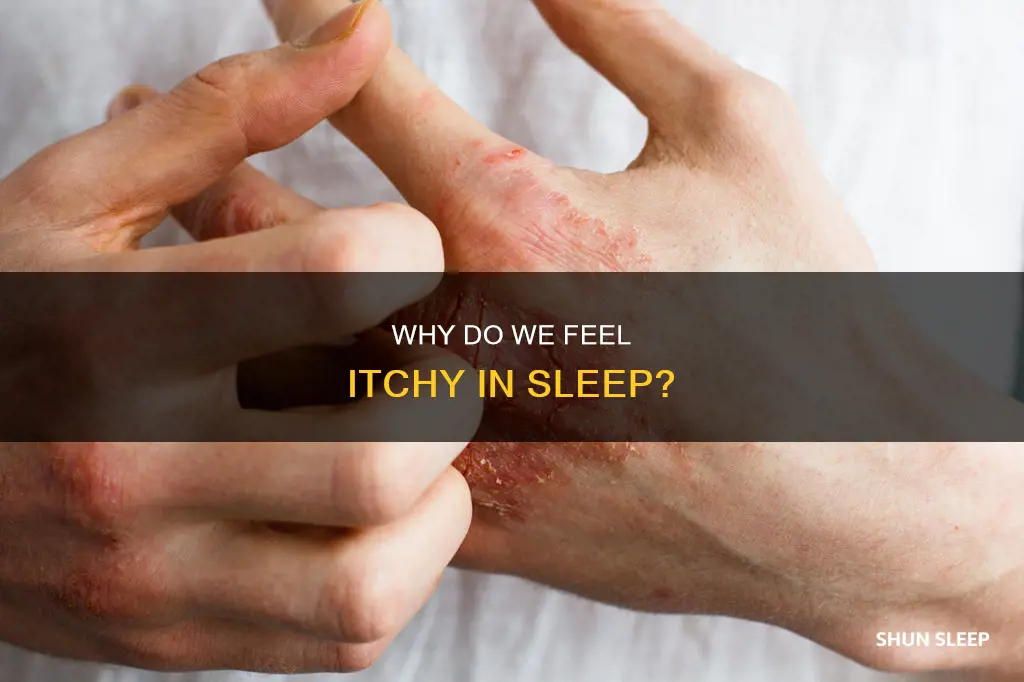 what it means to feel itchi when you sleep