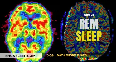 Understanding REM Sleep: The Science Behind Dreaming