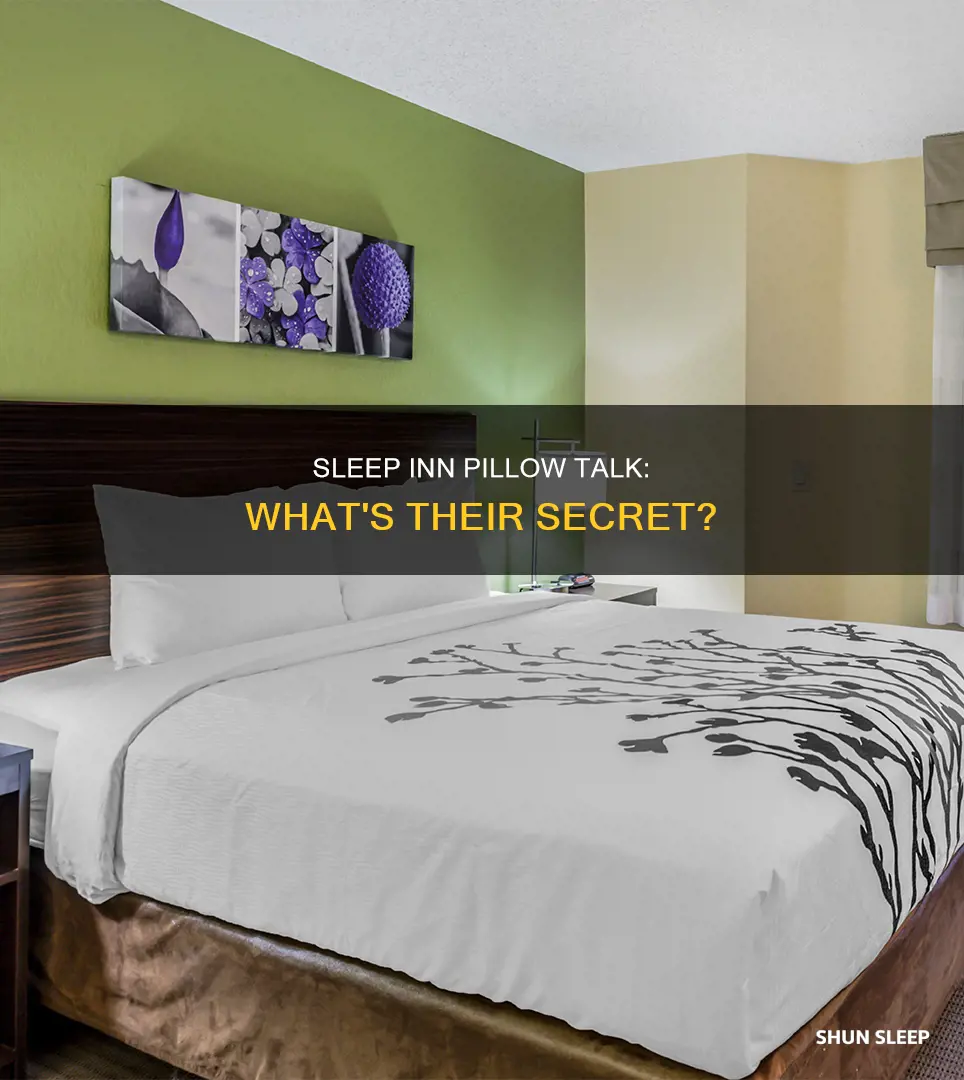 what kind of pillows does sleep inn use