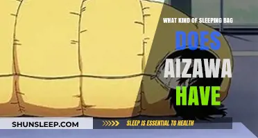 Aizawa's Sleeping Bag: Unveiling the Mystery