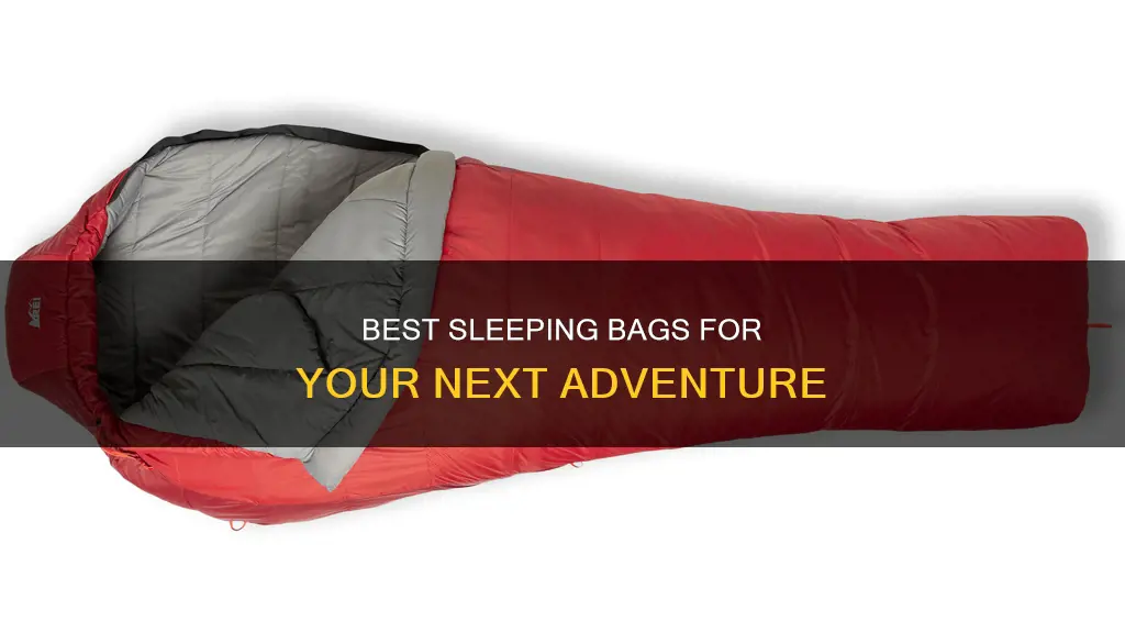 what kind of sleeping bag rei