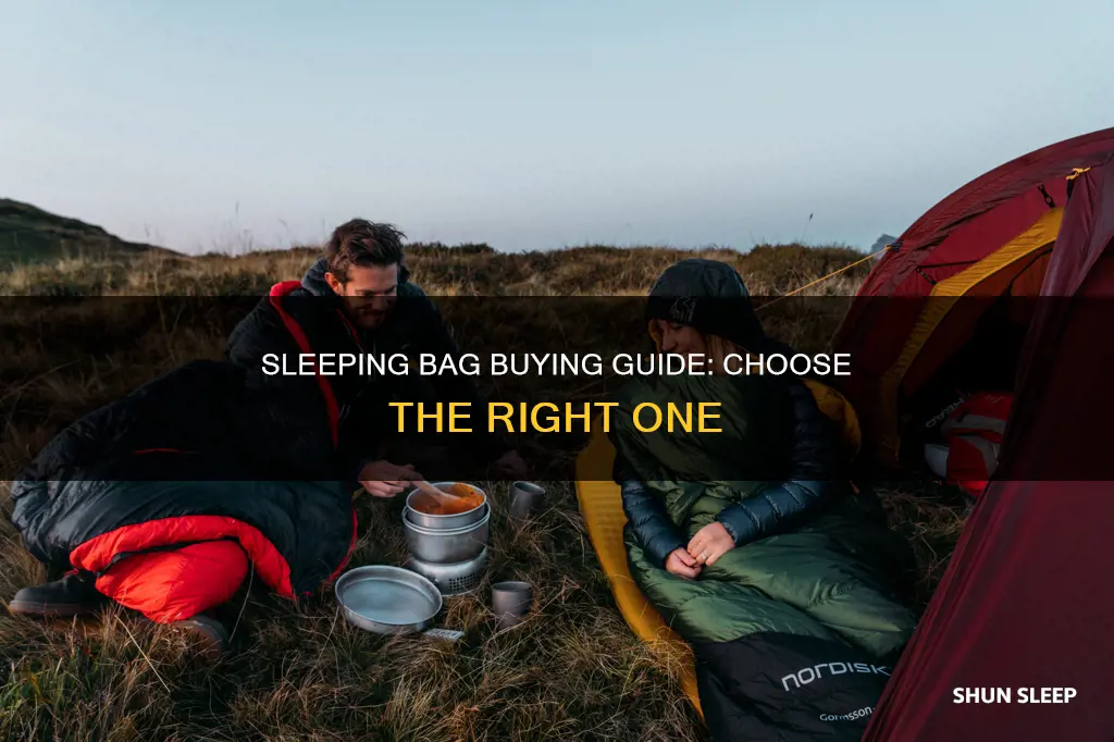what kind of sleeping bag