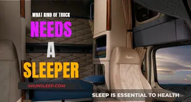 Trucks With Sleepers: Who Needs Them and Why?