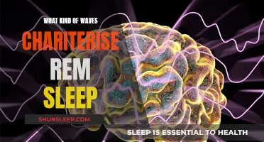 Understanding REM Sleep: Brain Waves and Their Characteristics