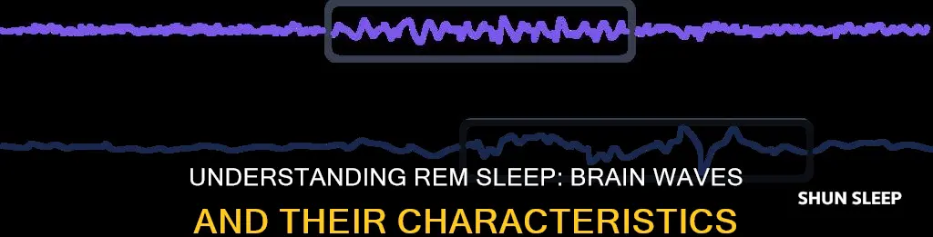 what kind of waves chariterise rem sleep