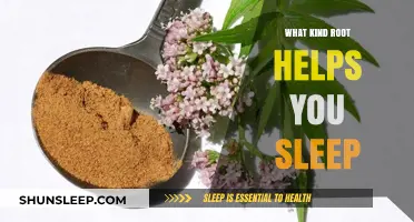 Discover the Natural Root That Promotes Better Sleep and Relaxation