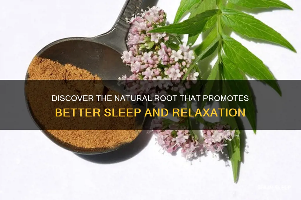 what kind root helps you sleep