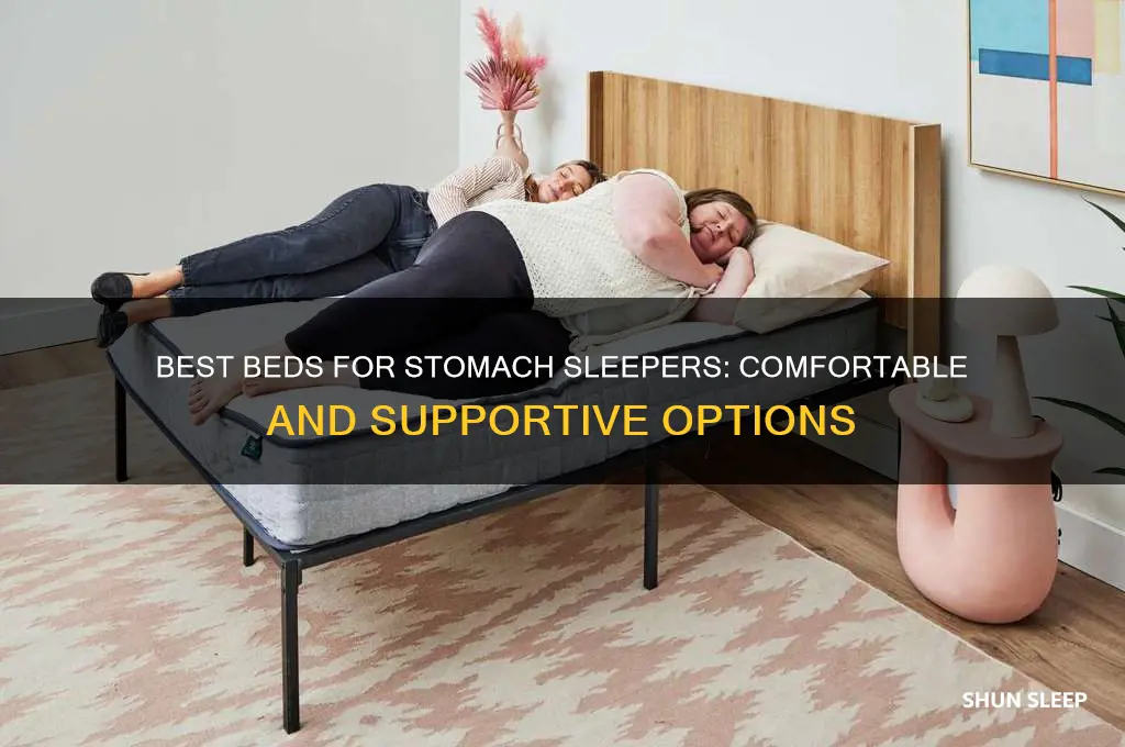 what kinda bed should i get sleeping on my belly