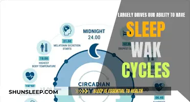 The Science of Sleep: Unlocking the Secrets of Our Circadian Rhythm