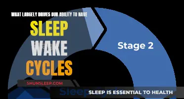 Melatonin and Sleep-Wake Cycles: A Complex Relationship