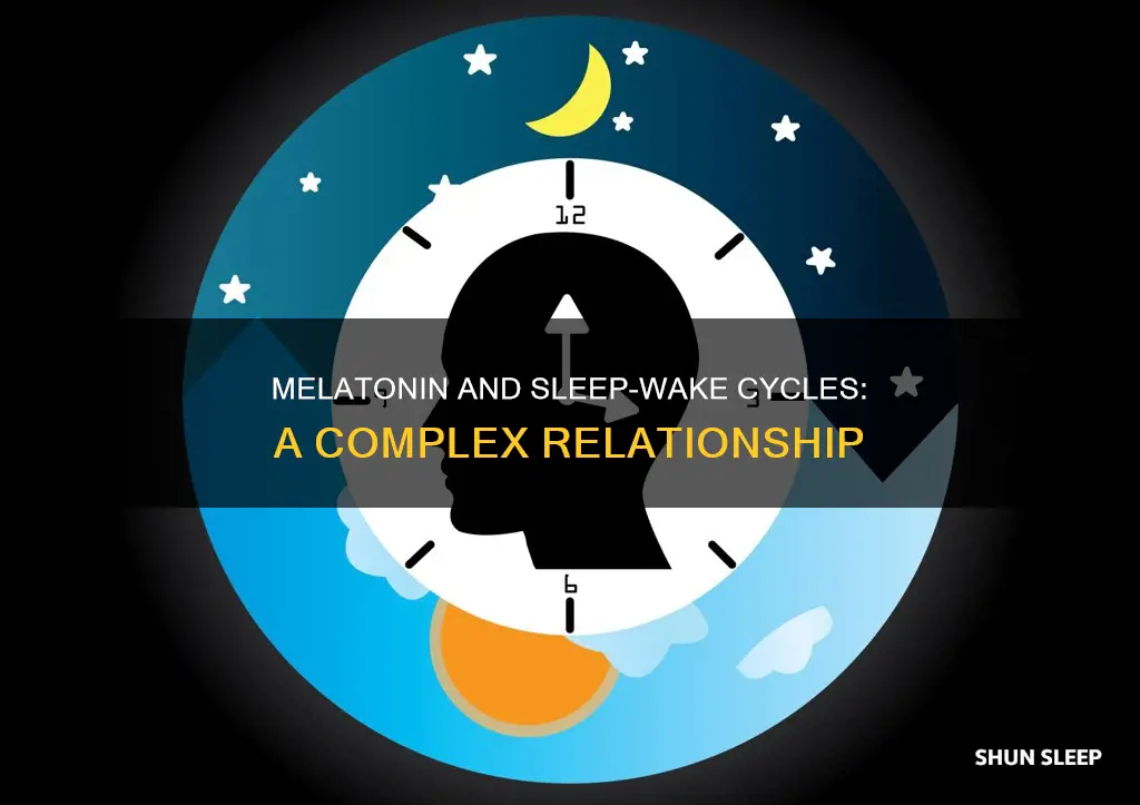 what largely drives our ability to have sleep wake cycles