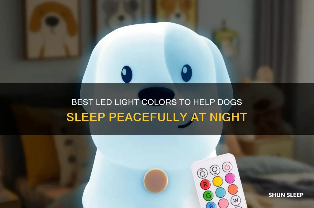 what led light color helps dogs sleep