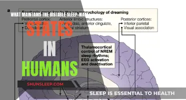 The Science of Sleep: Unlocking Bistable States