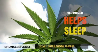 Marijuana and Sleep: How Cannabis Can Improve Your Rest
