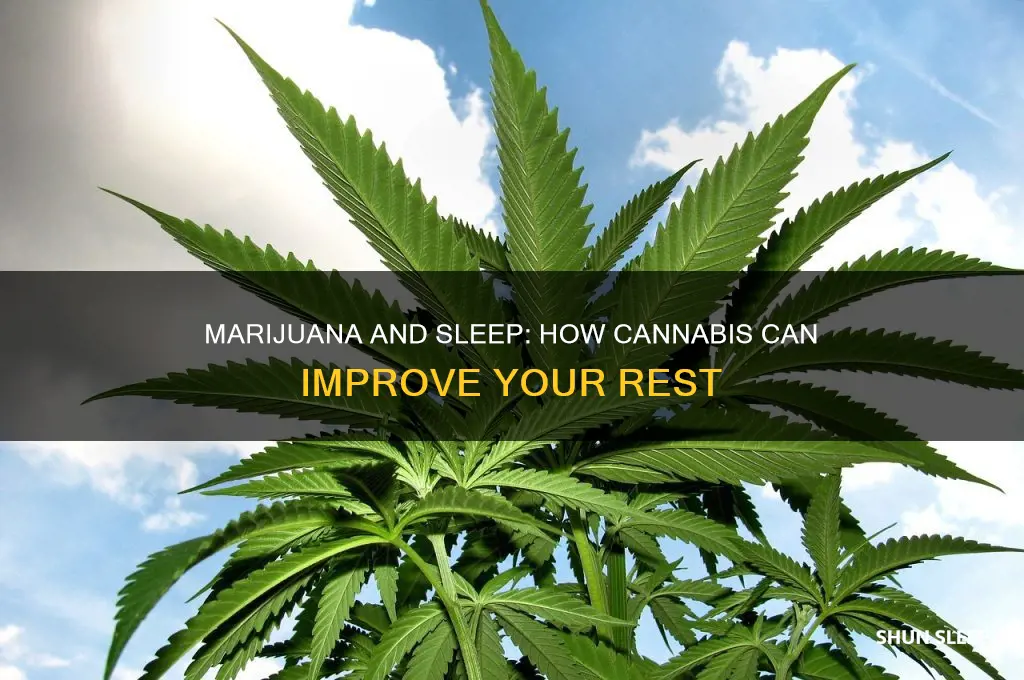 what marijana helps sleep