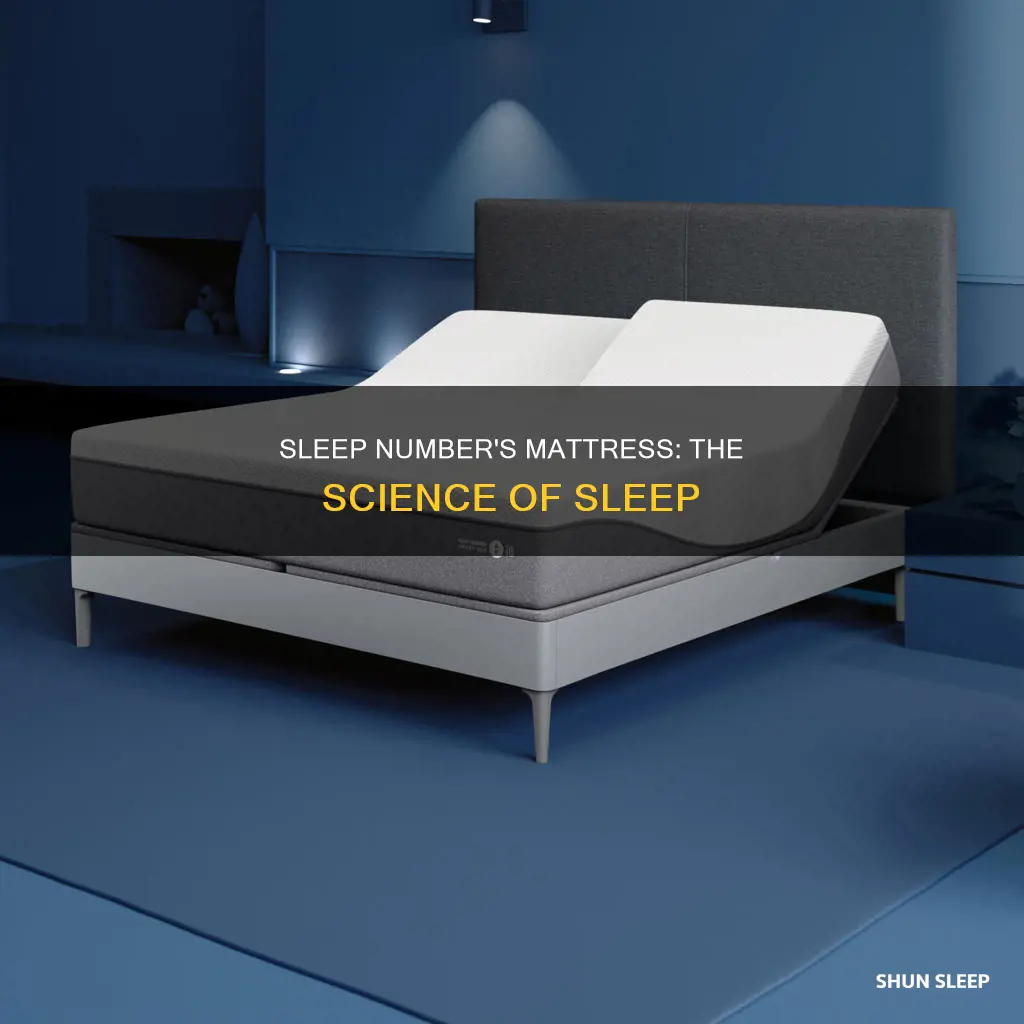 what mattress does sleep number use
