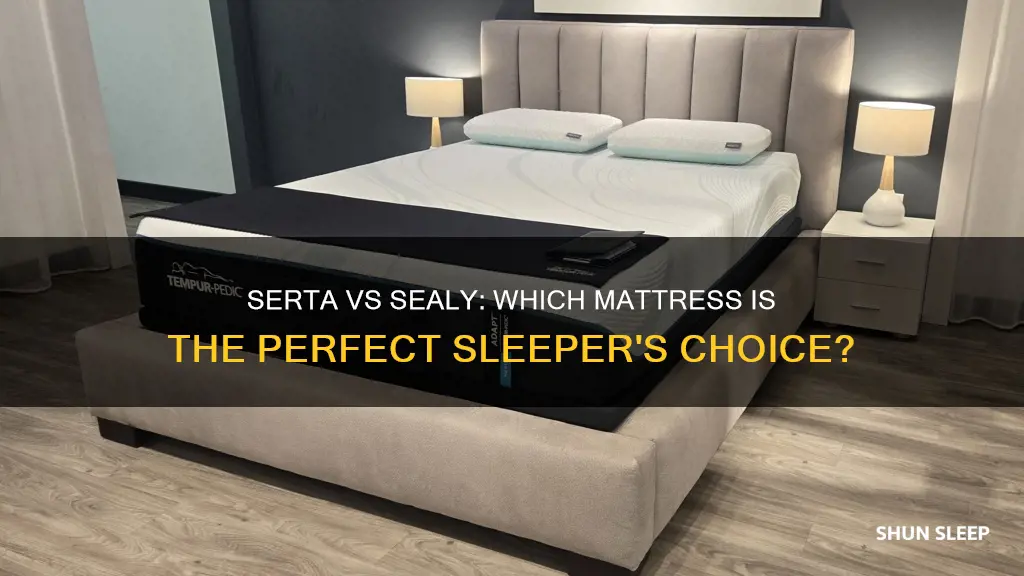 what mattress is better the serta perfect sleeper or sealy