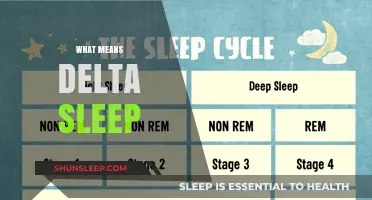 Understanding Delta Sleep: The Deep Sleep Stage