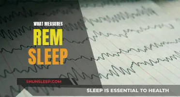 Brain Waves and Eye Movements: REM Sleep Measurement