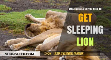 Unlocking the Sleeping Lion: Essential Medals Guide for Collectors