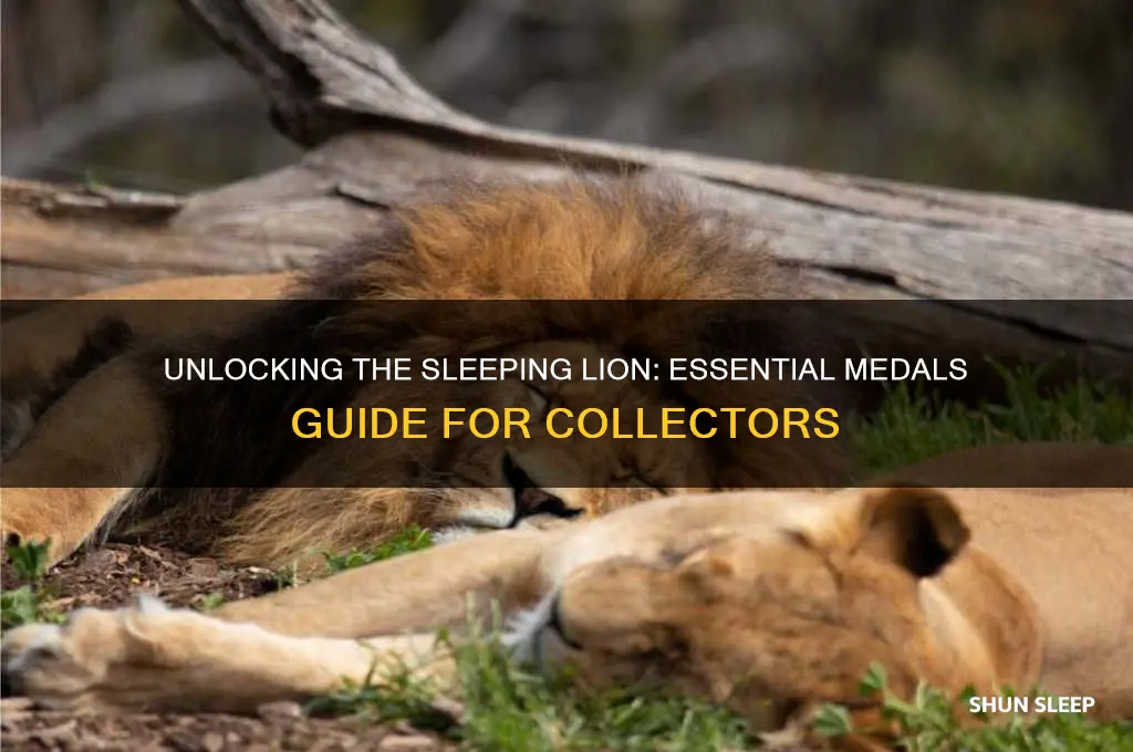 what medals do you need to get sleeping lion